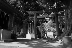 神社の境内