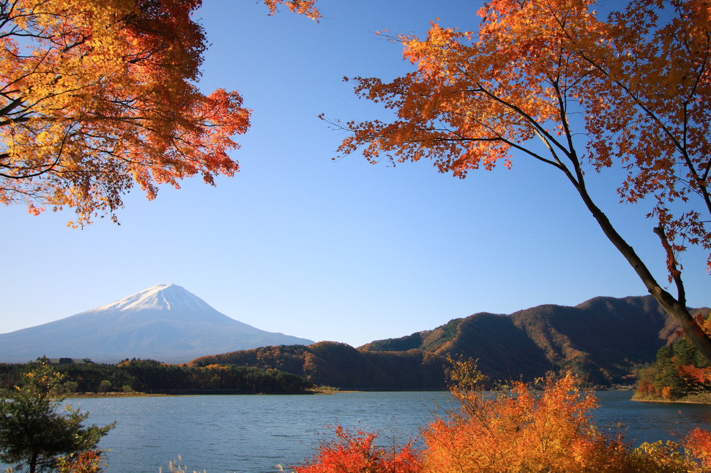 富士の紅葉