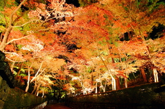 夜光松雲山荘