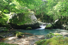 緑岩