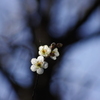 花飾り