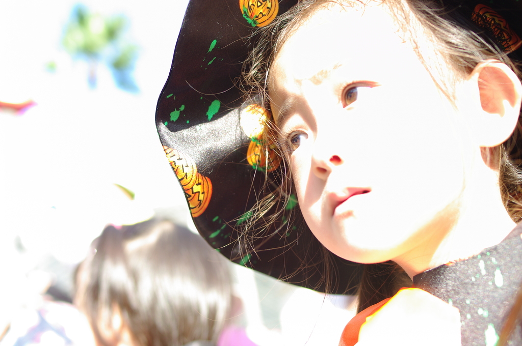 白昼夢