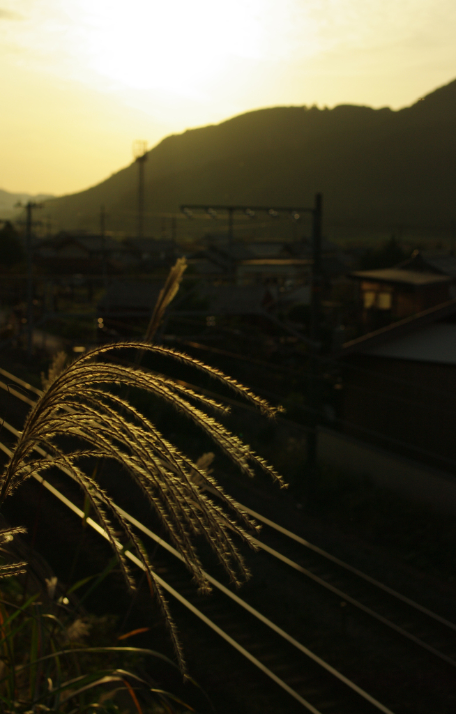 夕暮れ時の町