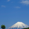 夏も近づく茶畑の空