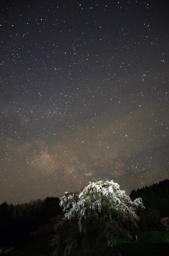 星空の下