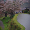 雨の三多気