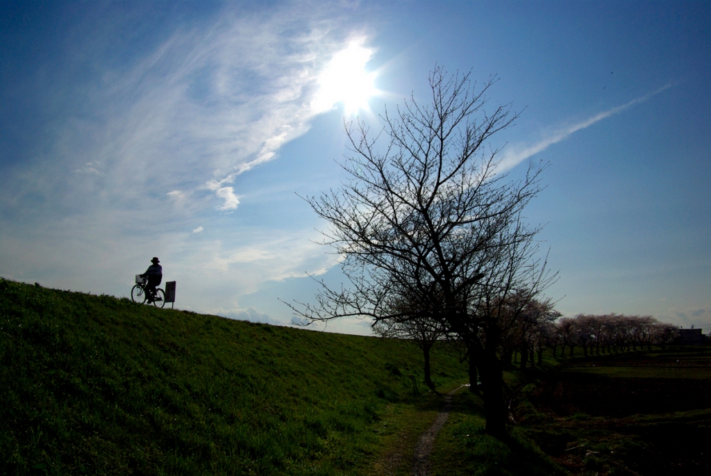 自転車に乗って