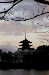 IMGP0715-1