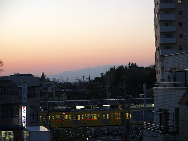 夕景に映える