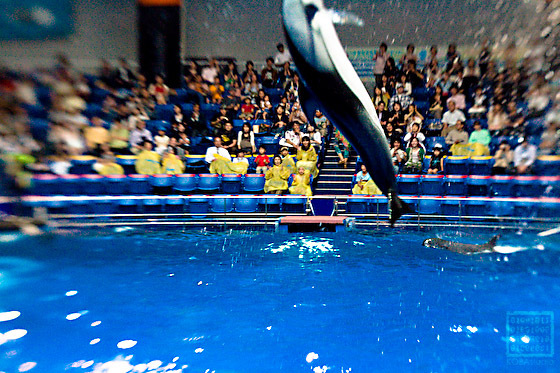 EPSON水族館 EOS 30D+LensBaby3G