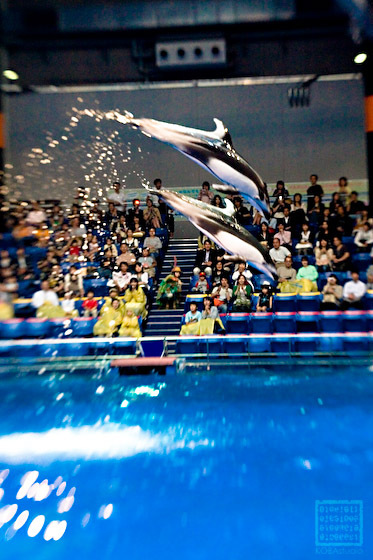 EPSON水族館 EOS 30D+LensBaby3G