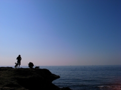 Amateur Photographer