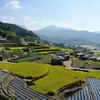棚田全景