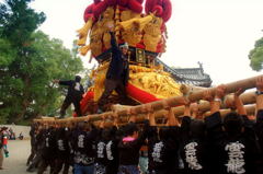 豊濱八幡神社にて