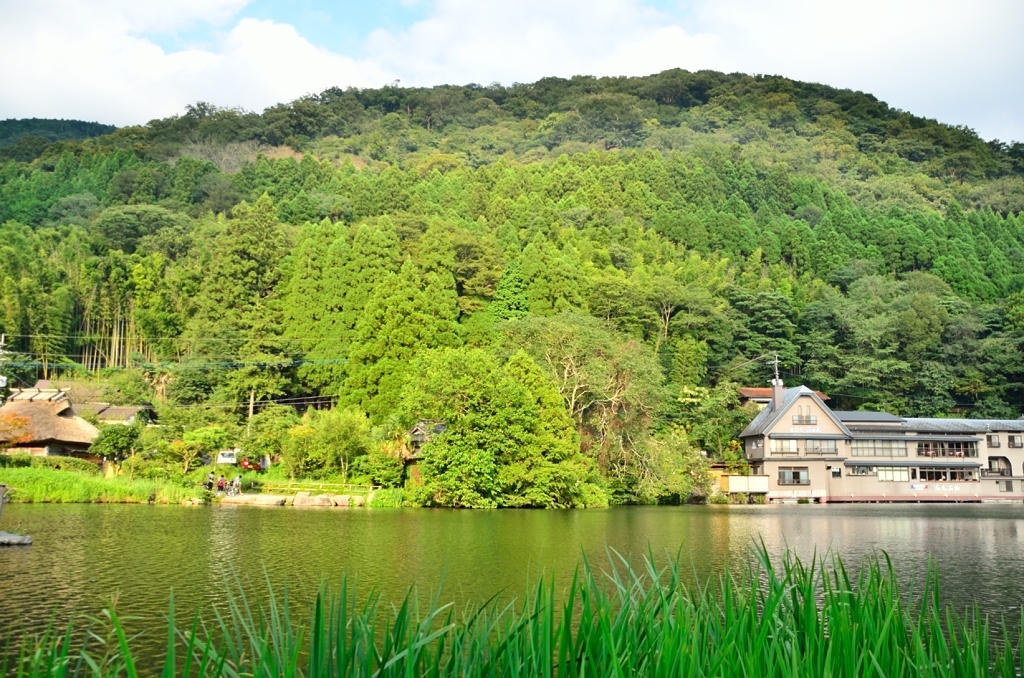 金鱗湖の水辺の風景