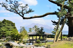 桜島の見える風景