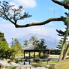 桜島の見える風景