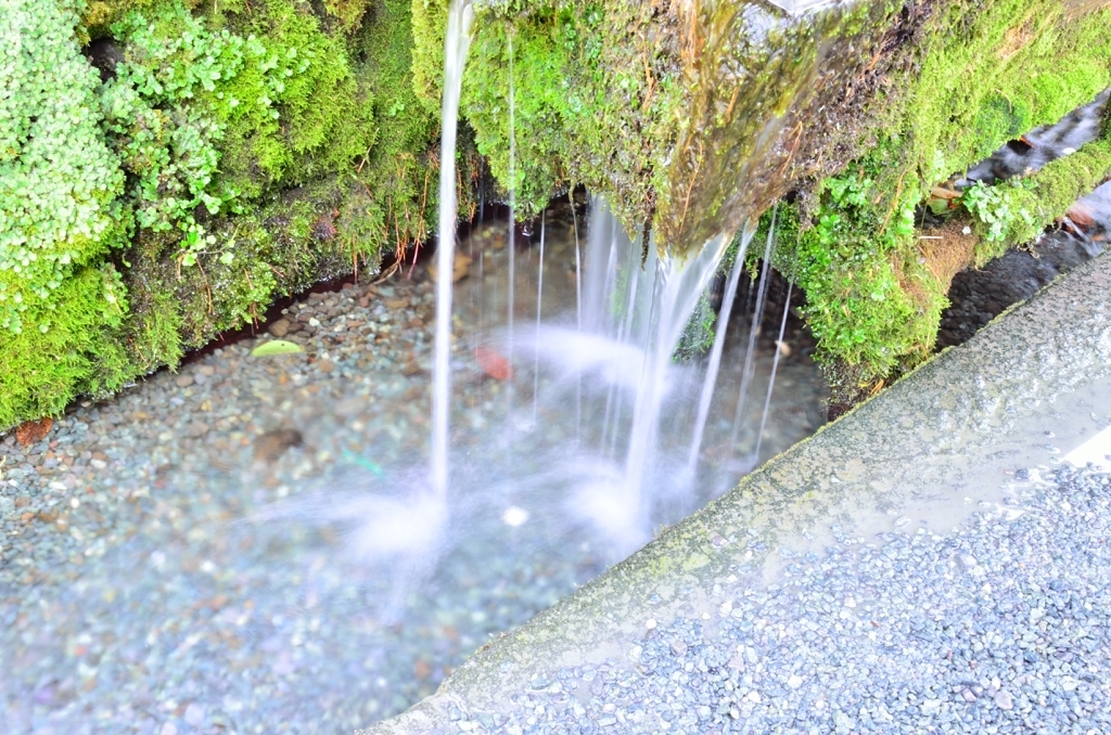 水の里 阿蘇