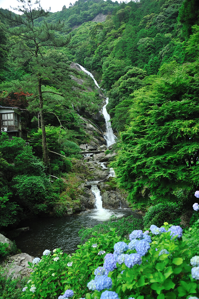 見返りの滝