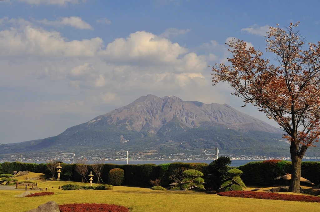 桜と桜島(D5000)