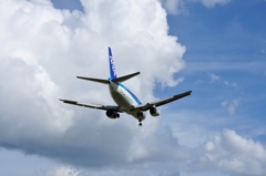 ＡＮＡ機