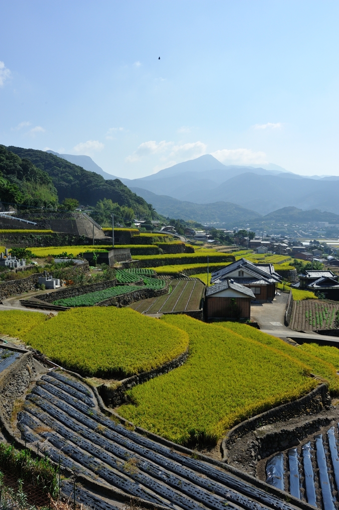 千々石（ちぢわ）の棚田