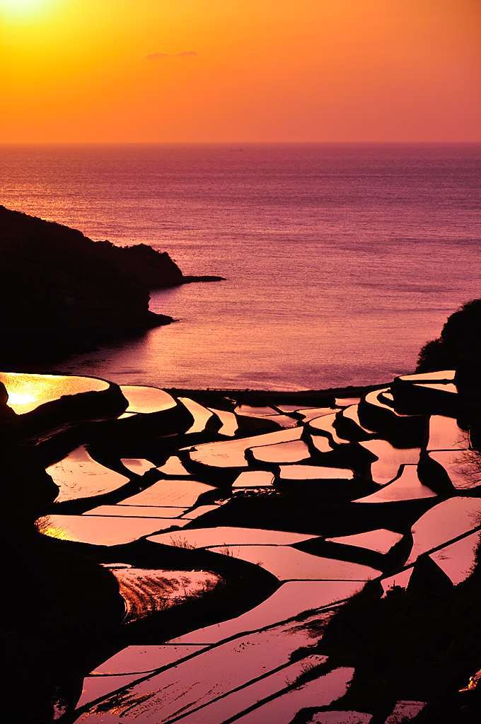 夕焼けと棚田