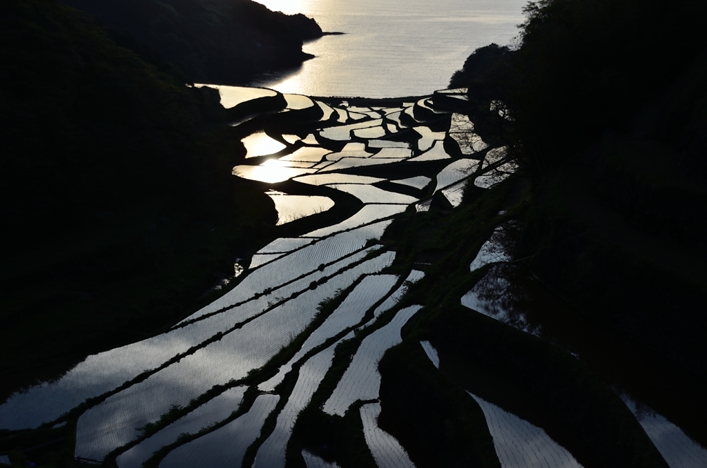 鏡の棚田（Normal)