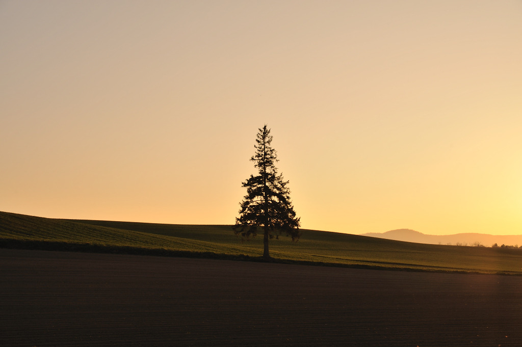 夕景