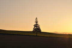 夕景