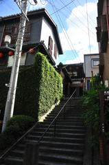 青柳下の階段