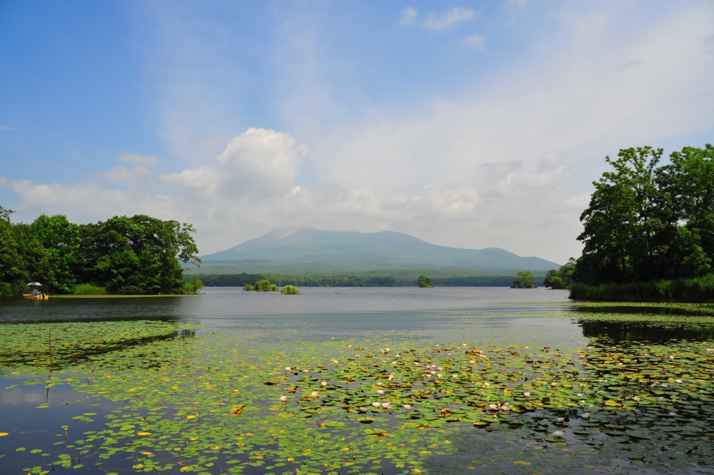 大沼から望む駒ケ岳