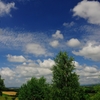 青い空を・・・。