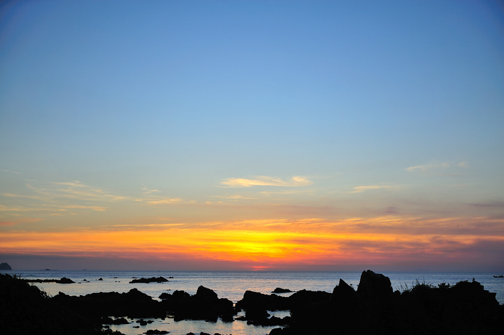 青と金色の狭間