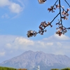 桜と火山(D7000)