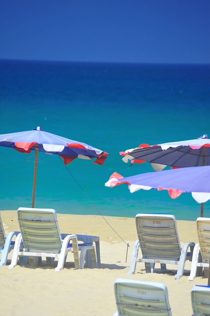 青の季節・・夏色