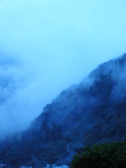 山から湧く霧
