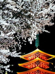 桜と五重塔