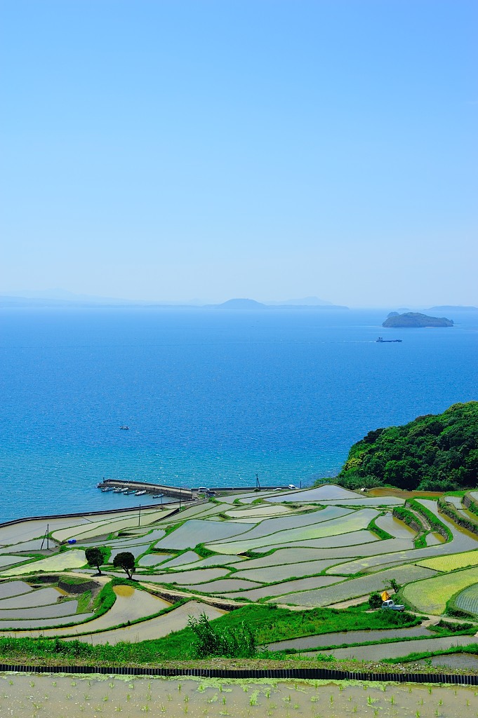 昼間の棚田