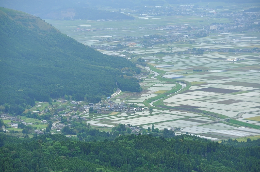 田んぼの水はり