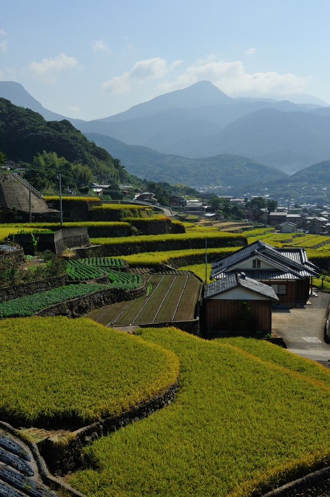 雲仙の山と田