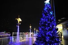 真夏のクリスマスツリー