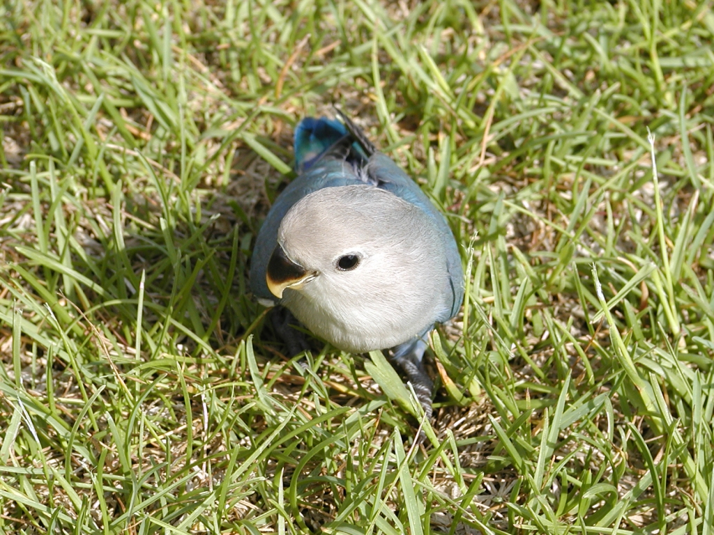そら