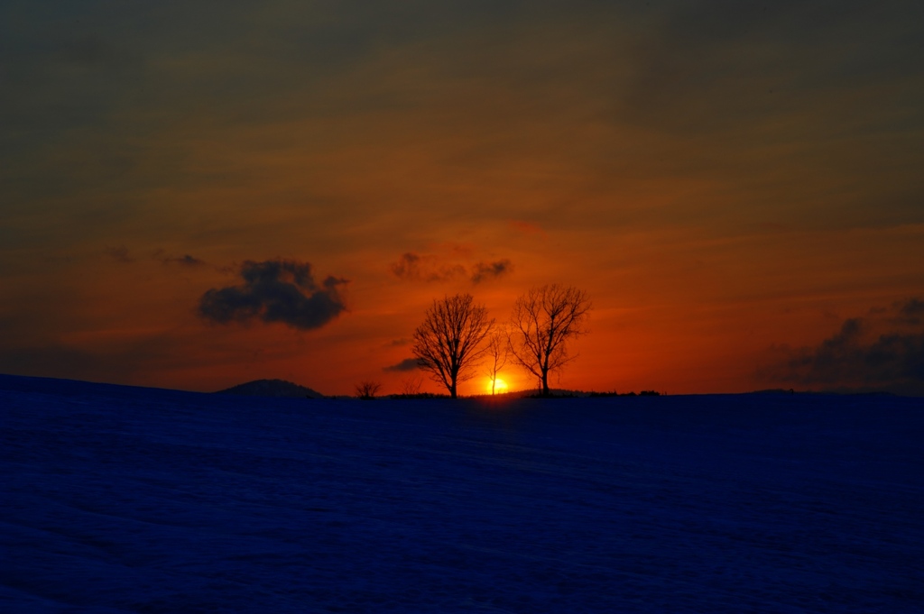 親子の夕日