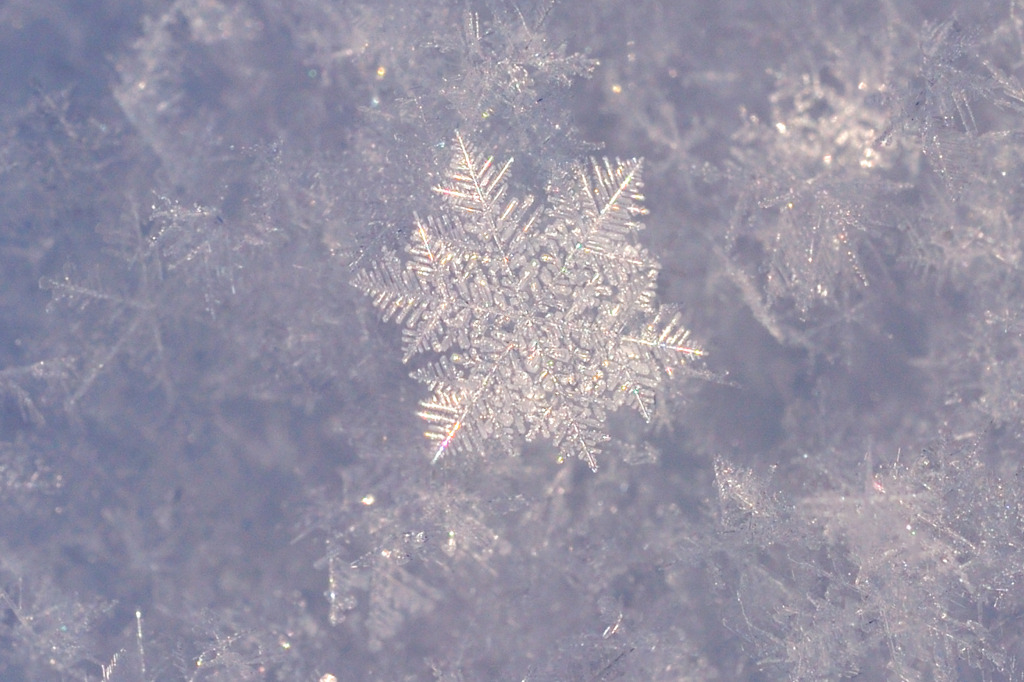 神秘的な雪