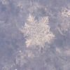 神秘的な雪