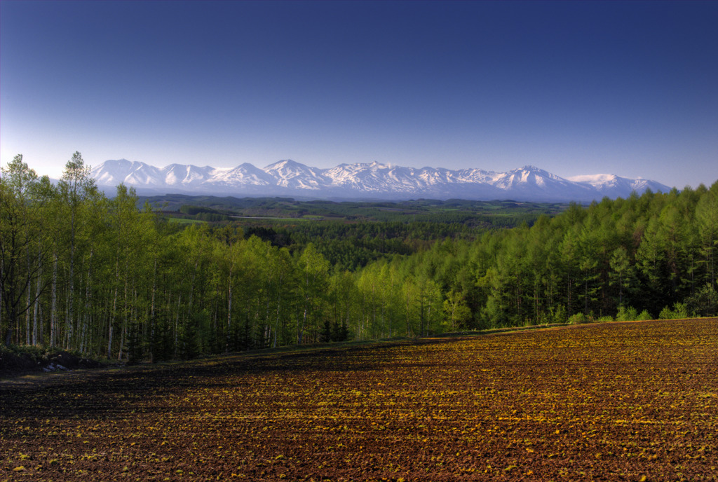 北海道の春