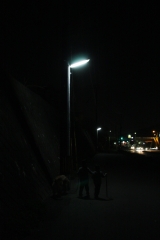 夜道の散歩