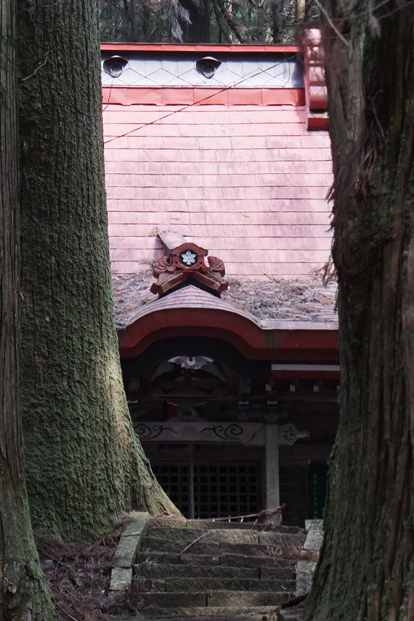 参道と屋根