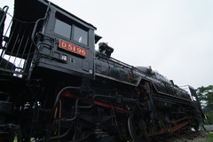 D51 96
